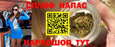 тгк Гай