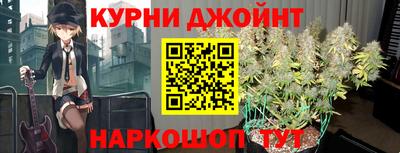 тгк Гай