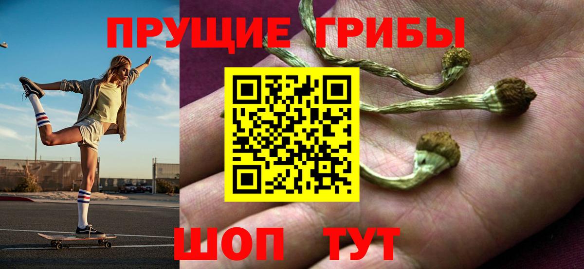 Галлюциногенные грибы мицелий Радужный